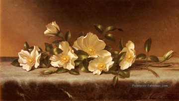 Roses cherokee sur un tissu gris clair romantique fleur Martin Johnson Heade Peinture à l'huile